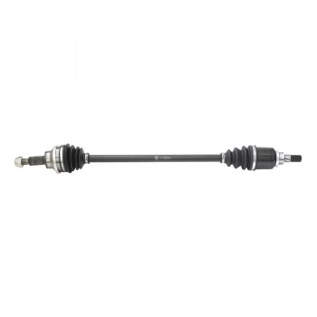 Planetara Spate Stg.dr. Adt.014