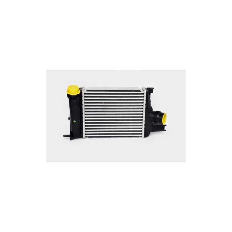 Radiator Intercooler Th.03.022