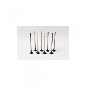 Set Supape Evacuare 55827