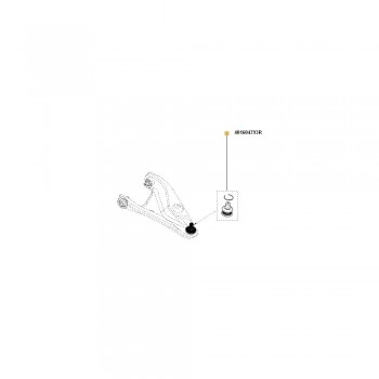 Pivot Suspensie 401604793R