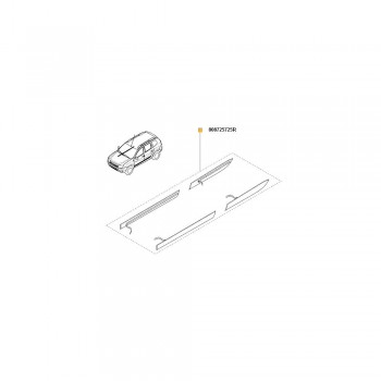 Set Bandouri Exterioare Usi 808725725R