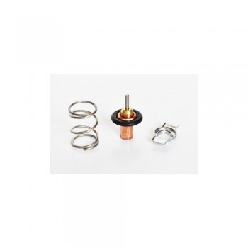 Termostat Lichid Racire 75202