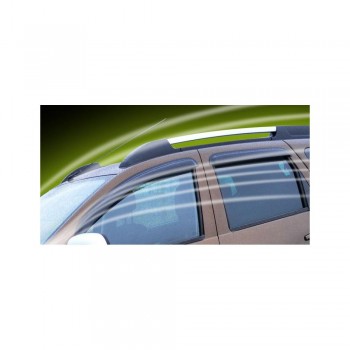 Set 2 Deflectoare Spate Megane Ii 02-08