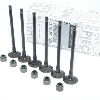 Supapa Evacuare 132025296R