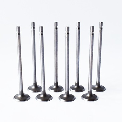 Set Supape Evacuare 7701473004